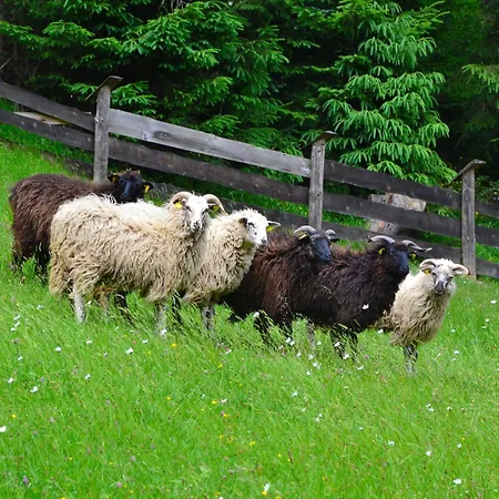 Farm stay Koliba U Dobreho Pastiera *