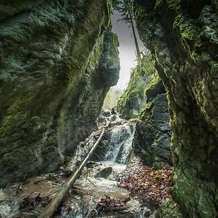 U Dobreho Pastiera Feriegård *