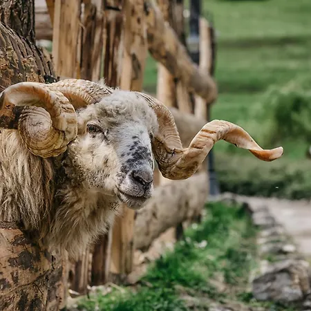 Feriegård U Dobreho Pastiera Ruzomberok