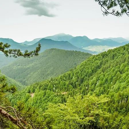 U Dobreho Pastiera Ruzomberok