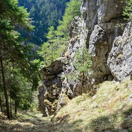 U Dobreho Pastiera Bauernhof