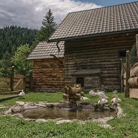 Gospodarstwo agroturystyczne U Dobreho Pastiera Rużomberk